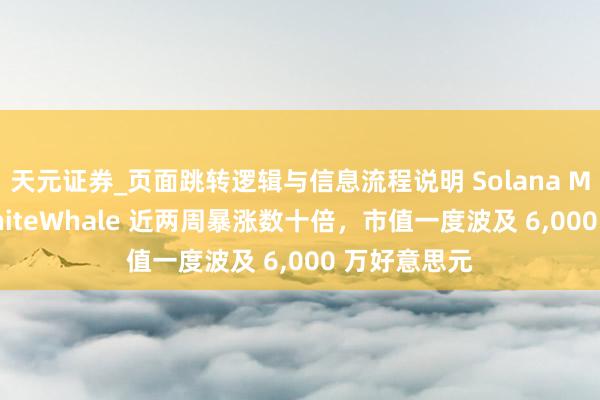 天元证券_页面跳转逻辑与信息流程说明 Solana Meme 币 WhiteWhale 近两周暴涨数十倍，市值一度波及 6,000 万好意思元