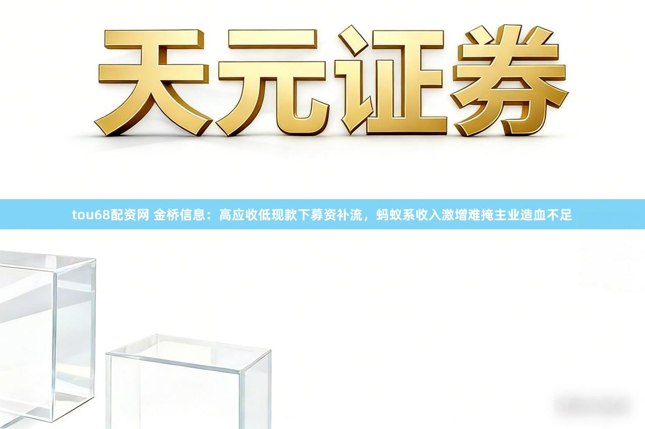 tou68配资网 金桥信息：高应收低现款下募资补流，蚂蚁系收入激增难掩主业造血不足
