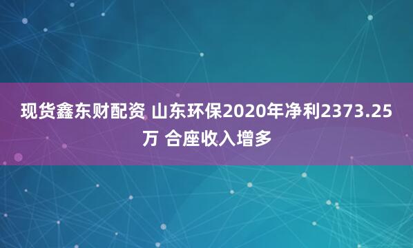 现货鑫东财配资 山东环保2020年净利2373.25万 合座收入增多