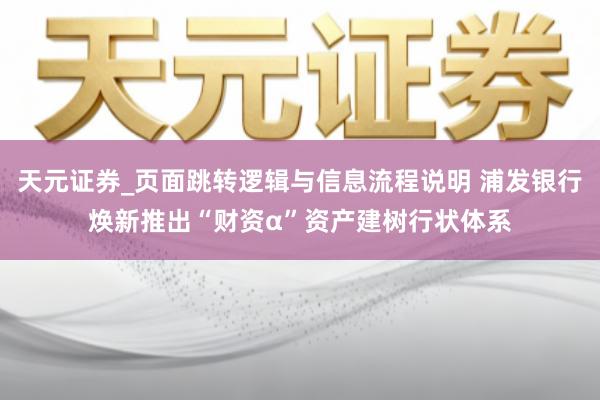 天元证券_页面跳转逻辑与信息流程说明 浦发银行焕新推出“财资α”资产建树行状体系